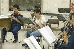 臨時演奏員